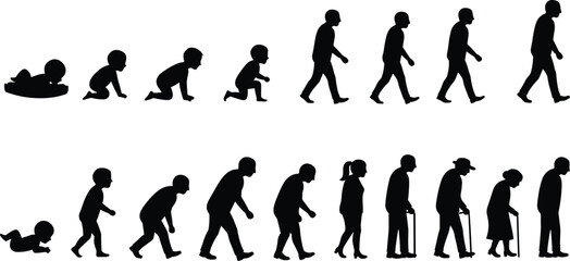 Human life stages from infant to elderly, aging evolution concept, silhouette design, black white growth timeline, educational vector illustration