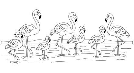 Line art illustration of a flock of flamingos wading in shallow water, with a simple background.