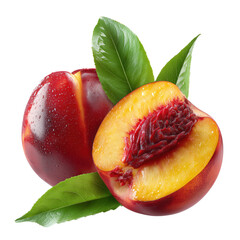 Fresh ripe nectarines with green leaves isolated on a white background ideal for healthy lifestyle concepts.