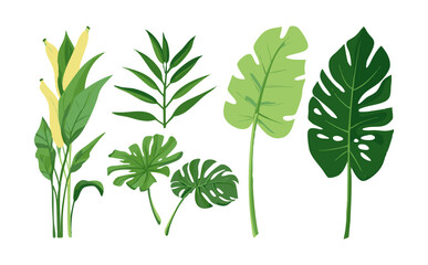 Set of flat style leaf collection hand drawn design vector element. botanical set of foliage branch for wedding poster invitation design element