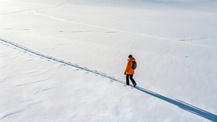 Skier in the snow