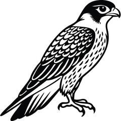 Obraz premium Detailed black and white falcon bird silhouette perched on white background
