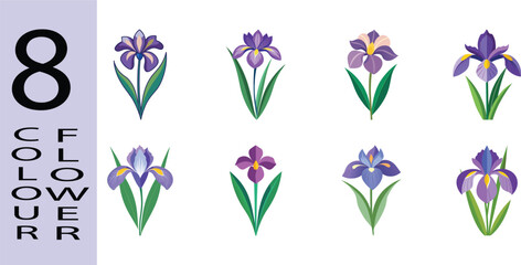 Iris Flower Flat Style Botanical Vector Illustration