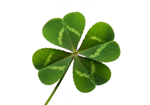 Isolated Green Shamrock Clover Leaf Symbolizes Luck with Transparent BG