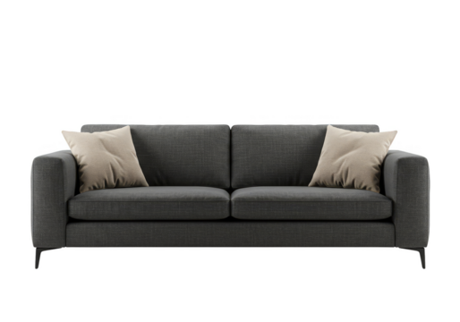 Isolated Gray Two Seater Sofa Pillows Home Interior Transparent