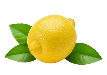Isolated Lemon Fruit Still Life Bright Yellow Vitamin Source