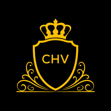 Dynamic Tech Logo Design with CII Letters and Abstract Motion Elements &ndash; Modern Business Identity. CII Letter logo.
