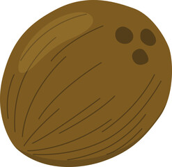 Whole Coconut Illustration

