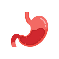 Vector Illustration of the Stomach