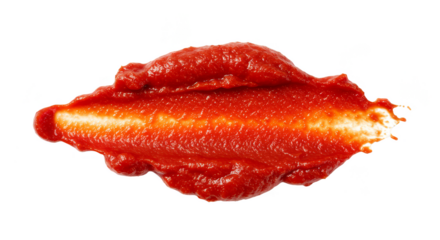 Isolated Tomato Ketchup Smear Delicious Red Condiment on Transparent