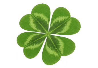 Lucky Green Four-Leaf Clover Leaf Shamrock Plant Isolated Illustration