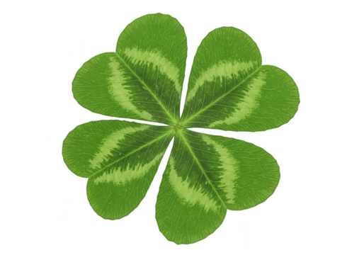 Lucky Green Four-Leaf Clover Leaf Shamrock Plant Isolated Illustration