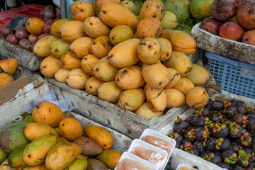 A colorful market display of fresh mangoes in various shades of yellow and green, alongside other tropical fruits like mangosteen, arranged in baskets and containers.