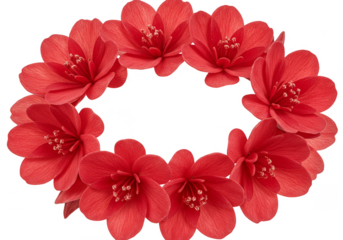 Red Floral Wreath Transparent Background Decoration Frame Circle