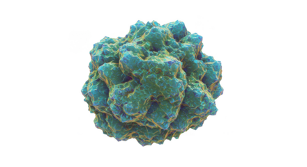 Realistic Isolated Virus Microorganism Viral Cell with Transparent BG