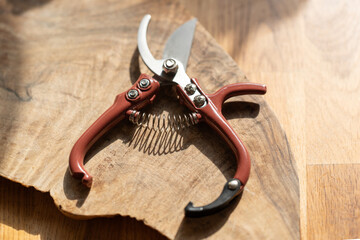 garden shears on a wooden board