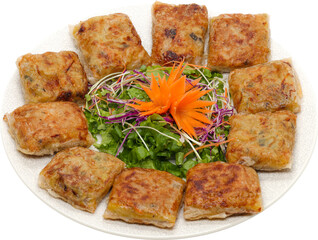 Fried Vietnamese patty. Vietnamese fried spring. Cha 