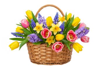 Spring Flower Basket Illustration Tulips Yellow Floral Bouquet Transparent