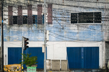 Hundreds of birds perch in dense rows along power lines in front of a weathered blue wall, turning the urban facade into an accidental aviary.