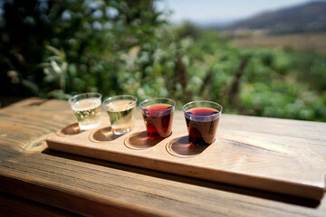 カリフォルニアワインを試飲する