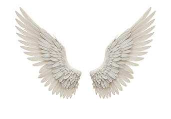 Obraz premium White Angel Wings Feather Detailed Design on Transparent Background