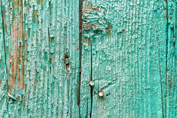 Old peeling green paint on wooden boards. The texture of an old wooden surface.