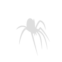 Spider siluet illustration