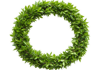 Isolated Laurel Wreath Green Leaves Circle Frame on Transparent Backdrop