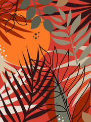 Tropical branches and leaves against the backdrop of the evening sunset. 