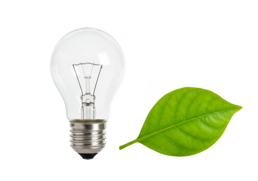 Isolated Lightbulb and Green Leaf Energy Concept Transparent PNG