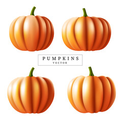 fresh pumpkins isolated on the white background.organic natural foods,autumn,halloween and thanksgiving concept clip art design vector illustration.