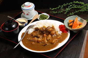 food, japanese cuisine, delicious, curry beef rice