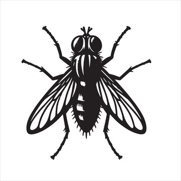 Fly Svg
