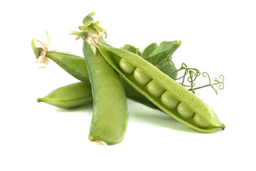 Freshly picked pea pods, bursting with plump, green peas, are a healthy, delicious food source.