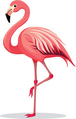 Pink flamingo standing alone on a white background, flamingo vector