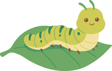 Life Cycle of Butterfly 2

