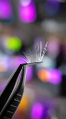Macro Closeup of Black Tweezers Holding Single White Eyelash Against Purple Bokeh Background