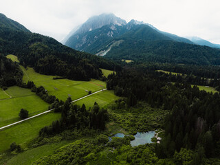 Nature Reserve Zelenci, krajnska gora, Slovenia, Europe. Wonderful morning view of Zelenci nature...