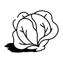 A sketchy style icon representing cabbage  
