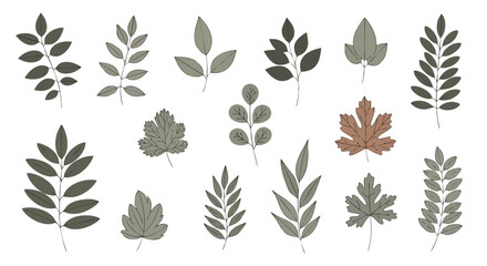 Hand Drawn Organic Botanical Leaf Collection with Diverse Green and Brown Foliage Elements