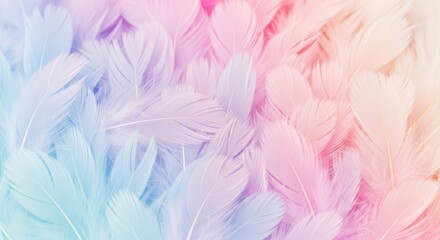 Soft pastel feathers in a dreamy rainbow gradient creating a delicate and fluffy texture