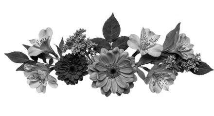 Monochrome Floral Arrangement Transparent Background Decorative Element