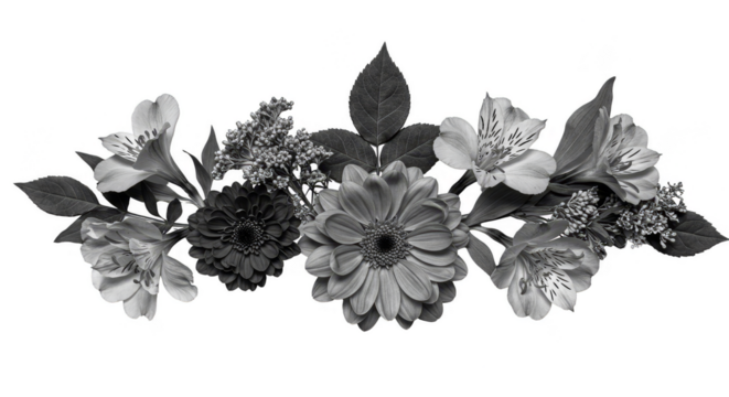 Monochrome Floral Arrangement Transparent Background Decorative Element