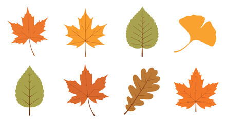 Vibrant Autumn Leaves Set: Diverse Collection of Fall Foliage Elements for Seasonal Designs