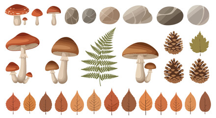Vibrant Autumn Forest Elements Collection with Mushrooms, Brown Leaves, Pinecones, Ferns, and Pebbles