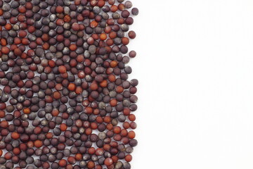 小松菜の種、自然の恵み