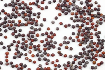 クローズアップ、小松菜の種