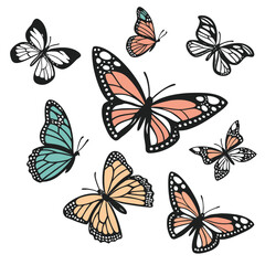 Butterfly and Floral Decorative Vector Illustration

