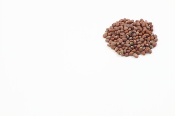 シンプル構図、大根の種の自然な美