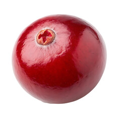 Obraz premium cranberry single red fruit